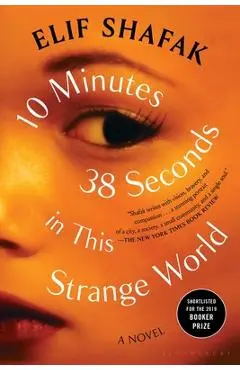 10 Minutes 38 Seconds in This Strange World - Elif Shafak