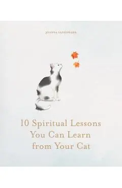 10 Spiritual Lessons You Can Learn from Your Cat - Joanna Sandsmark