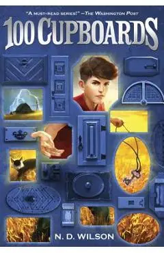 100 Cupboards (100 Cupboards Book 1) - N. D. Wilson