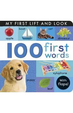 100 First Words: My First Lift and Look - Hettie Cox