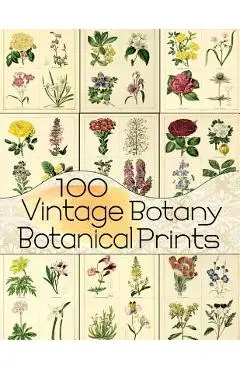 100 Vintage Botany Botanical Prints - C. Anders