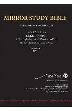 11th Edition MIRROR STUDY BIBLE VOLUME 1 OF 3: Dr. Luke's brilliant account of the Life of Jesus & the beginnings of The Acts of the Apostles - Francois Du Toit