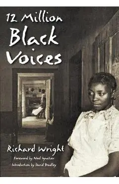 12 Million Black Voices - Richard Wright