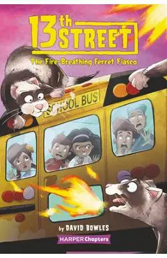 13th Street #2: The Fire-Breathing Ferret Fiasco - David Bowles
