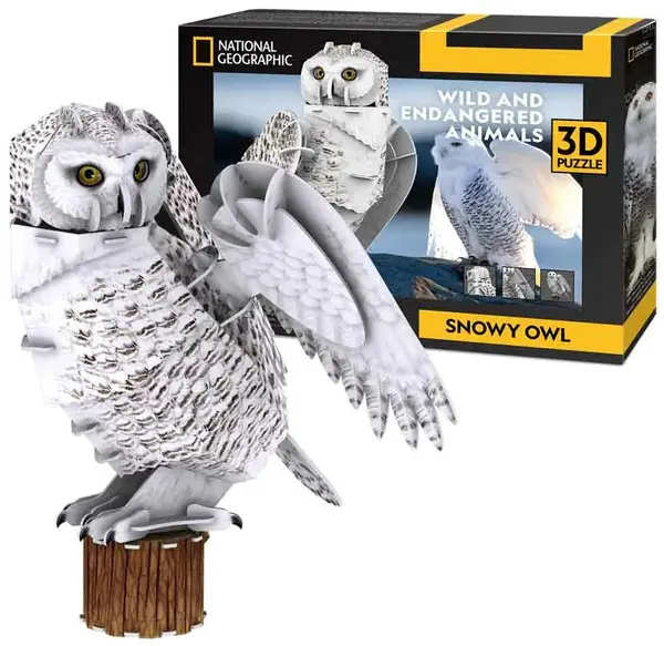 3D Puzzle Cubic Fun din 62 piese- Bufniță arctică