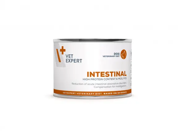 4T Dieta Veterinara caini Intestinal Dog, VetExpert, conserva, 200g