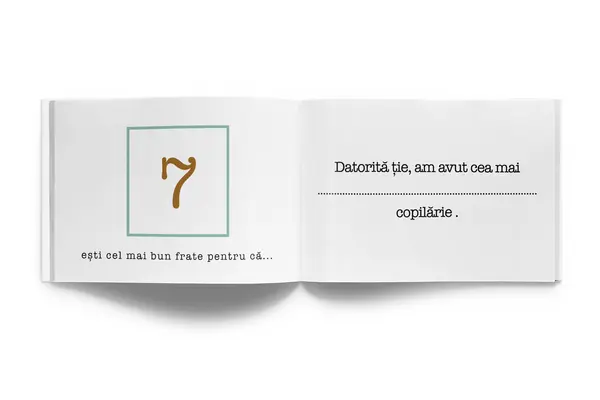 50 de motive pentru care esti cel mai bun frate |
