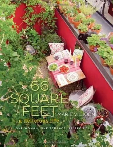 66 Square Feet | Marie Viljoen