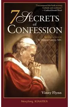 7 Secrets of Confession - Vinny Flynn