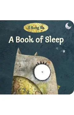 A Book of Sleep - Il Sung Na