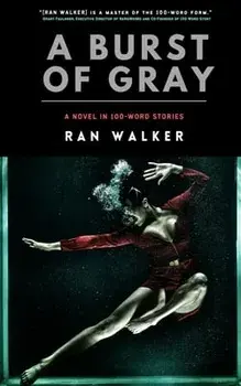 A Burst of Gray: A Novel in 100-Word Stories, Paperback/Ran Walker