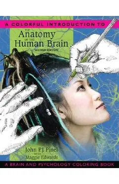 A Colorful Introduction to the Anatomy of the Human Brain: A Brain and Psychology Coloring Book - John P. J. Pinel