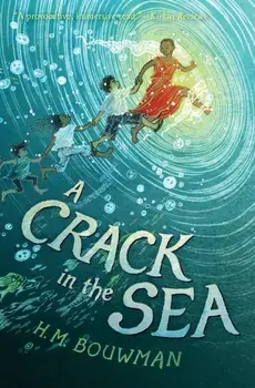 A Crack in the Sea, Paperback/HM Bouwman