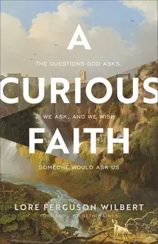 A Curious Faith - The Questions God Asks, We Ask, and We Wish Someone Would Ask Us, Paperback/Seth Haines