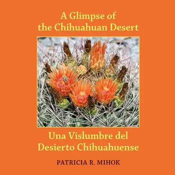 A Glimpse of the Chihuahuan Desert: Una Vislumbre del Desierto Chihuahuense, Paperback/Caiti Steele