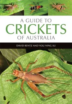 A Guide to Crickets of Australia/David Rentz