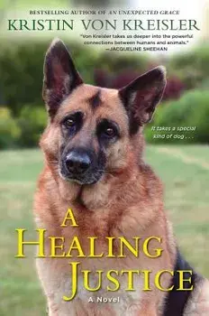 A Healing Justice, Paperback/Kristin Von Kreisler