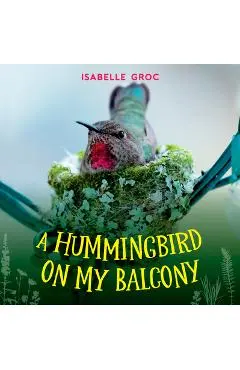 A Hummingbird on My Balcony - Isabelle Groc