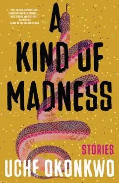 A Kind of Madness - Uche Okonkwo
