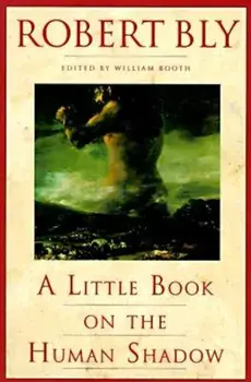 A Little Book on the Human Shadow, Paperback/Robert Bly