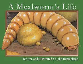 A Mealworm's Life, Paperback/John Himmelman