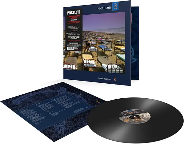 A Momentary Lapse Of Reason - Vinyl | Pink Floyd
