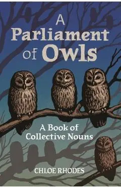 A Parliament of Owls: A Book of Collective Nouns - Chloe Rhodes