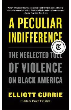 A Peculiar Indifference: The Neglected Toll of Violence on Black America - Elliott Currie