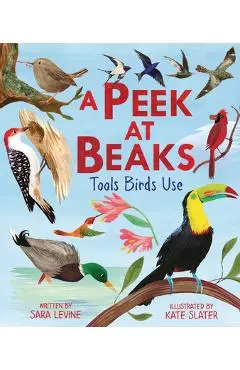 A Peek at Beaks: Tools Birds Use - Sara Levine