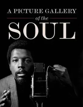 A Picture Gallery of the Soul, Hardback/***