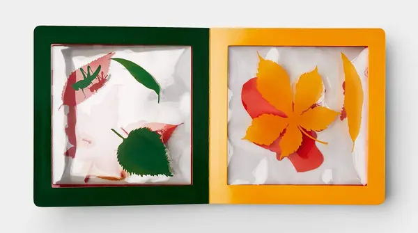 A Pile of Leaves | Jason Fulford