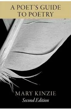 A Poet's Guide to Poetry - Mary Kinzie