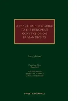 A Practitioner's Guide to the European Convention on Human Rights. 7 ed, Hardback/Aida Grgic Boulais