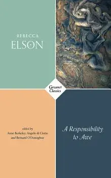 A Responsibility to Awe, Paperback/Rebecca Elson
