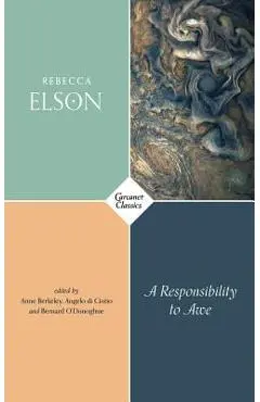 A Responsibility to Awe - Rebecca Elson