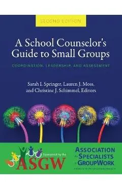 A School Counselor's Guide to Small Groups: Coordination, Leadership, and Assessment - Sarah I. Springer