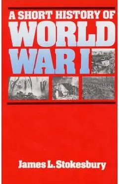 A Short History of World War I - James L. Stokesbury