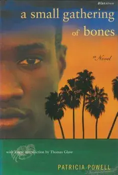 A Small Gathering of Bones, Paperback/Patricia Powell