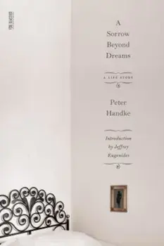 A Sorrow Beyond Dreams: A Life Story, Paperback/Peter Handke