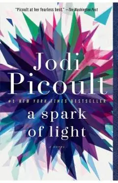 A Spark of Light - Jodi Picoult