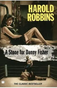 A Stone for Danny Fisher - Harold Robbins