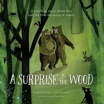 A Surprise in the Wood. A touching story of love and the true meaning of family., Hardback/Cosetta Zanotti