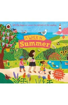 A Walk in Summer: Lift the Flaps to Reveal the Secrets of the Season - Ladybird