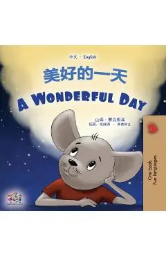 A Wonderful Day (Chinese English Bilingual Children's Book - Mandarin Simplified) - Sam Sagolski