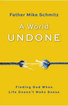 A World Undone: Finding God When Life Doesn't Make Sense - Fr Mike Schmitz