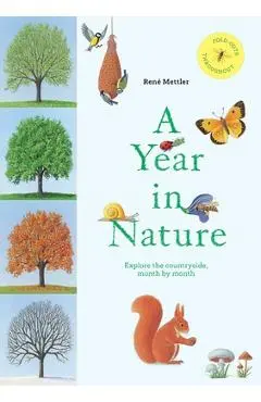 A Year in Nature: Explore the Countryside, Month by Month - René Mettler
