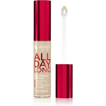 AA Wings of Color All Day Long Long Lasting Concealer corector lichid