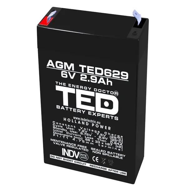 Acumulator AGM VRLA 6V 2,9Ah TED Battery Expert Holland TED002877