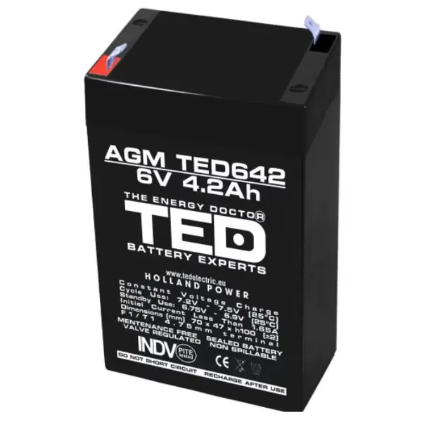 Acumulator AGM VRLA 6V 4,2A F1 TED Battery Expert Holland