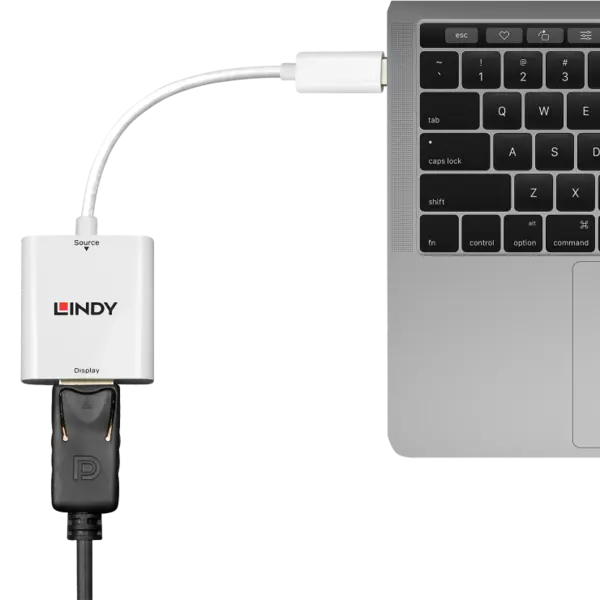 Adaptor USB 3.1-C la Displayport T-M alb, Lindy L43245*